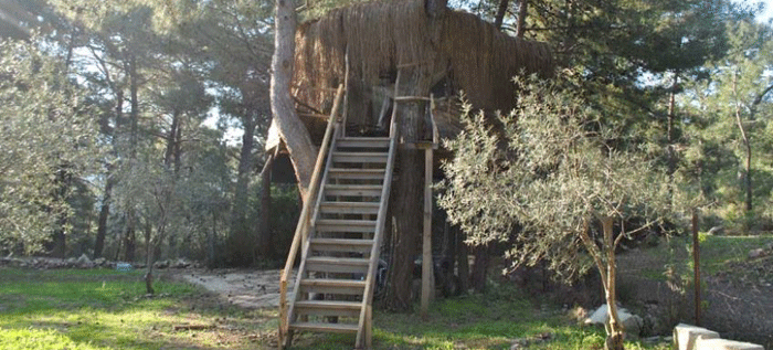 Doğa kamp ağaç ev